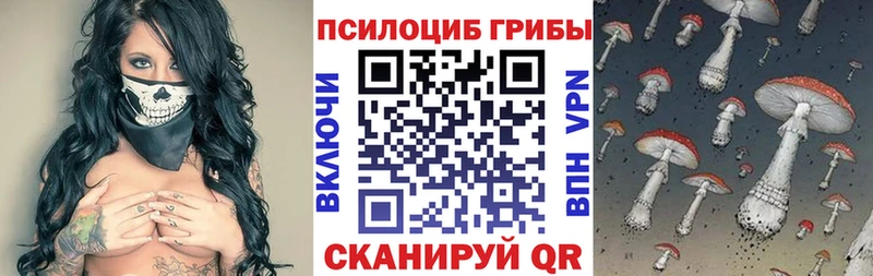 Галлюциногенные грибы MAGIC MUSHROOMS  darknet наркотические препараты  Семёнов 