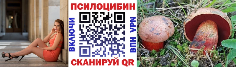 Псилоцибиновые грибы Psilocybine cubensis Семёнов